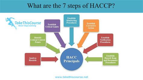 What Are The 7 Steps Of HACCP