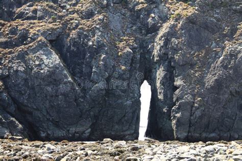 Oregon Coast Arch And Cave On A Sea Stack Stock Photo Image Of