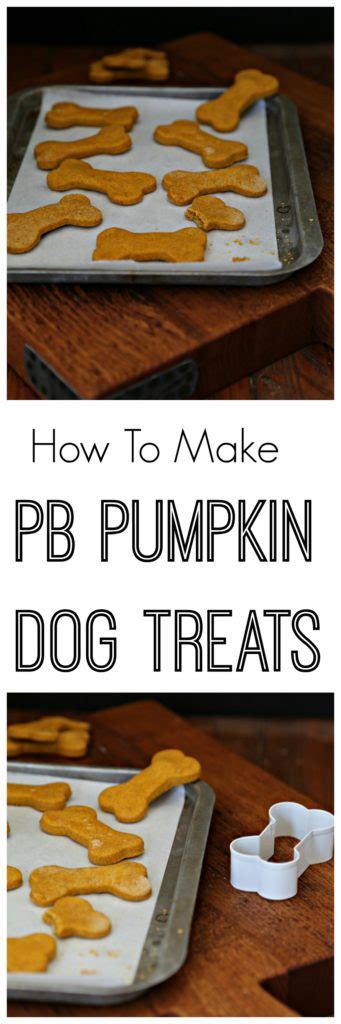 How To Make Peanut Butter Pumpkin Dog Treats Bell Alimento