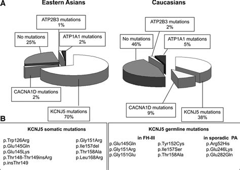 kcnj5 mutations are the most frequent genetic alteration in primary aldosteronism hypertension