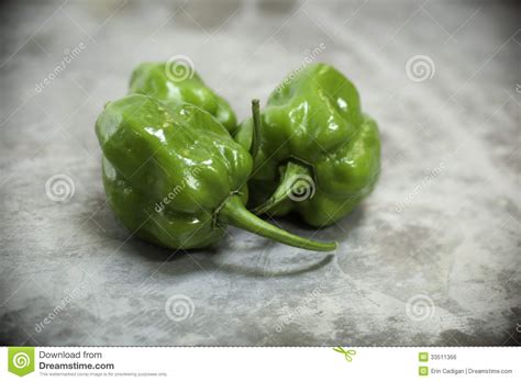 Хабанеро перуанский белый /peruvian white habanero. Green Habanero Peppers stock photo. Image of chili, patina ...