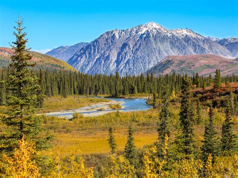 Denali National Park Get To Know To The Heart Of Alaska
