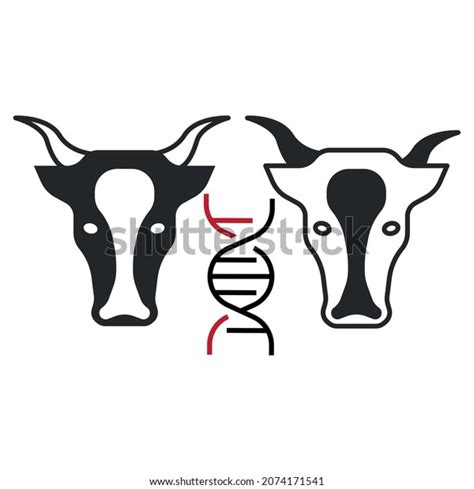 Genetically Modified Animals Animal Gene Studies Stock Vector Royalty