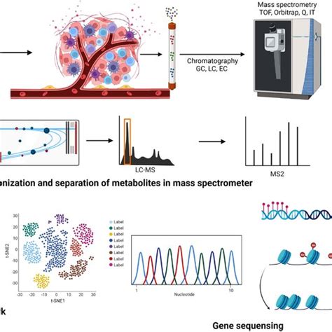 Schematic Representation Of Various Multiomics Approaches For The Download Scientific Diagram