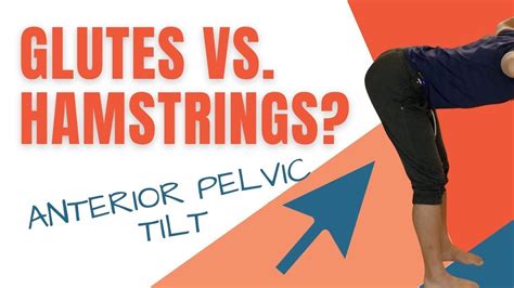 Anterior Pelvic Tilt Glutes Vs Hamstrings Strength Youtube