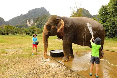 Elephant Hills Thailand Our Experience Review And Tips
