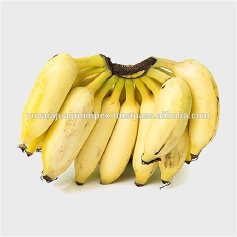 Fresh Yelakki Bananaindia Price Supplier 21food