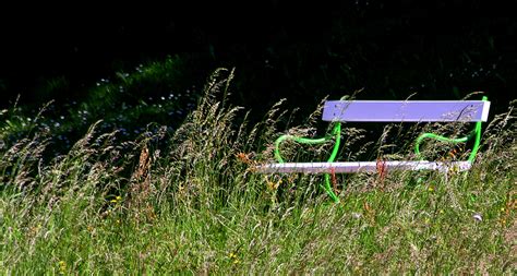 Eine kreditkarte gehört heutzutage zur standardausstattung und ist in deutschland wie auch im ausland, unverzichtbar. Bank im Grünen... Foto & Bild | landschaft, garten ...