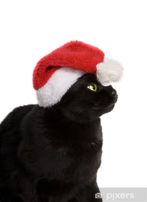 Sticker Black Cat Santa Cute Christmas Cat On White Background