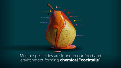 The Cocktail Effect Pesticide Action Network Uk