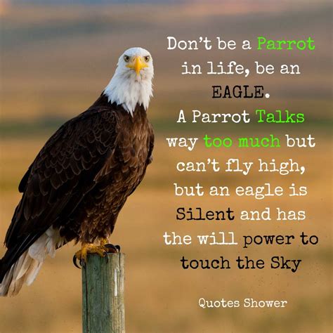 Dont Be A Parrot In Life Be An Eagle A Parrot Talks Way Too Much But