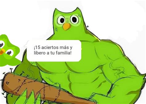 Top memes de duolingo en español Memedroid