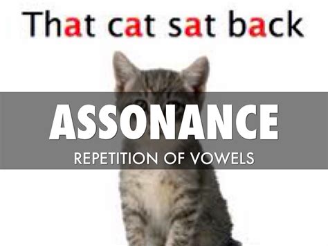 What Is Assonance Examples