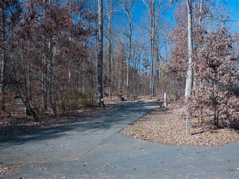 Uwharrie national forest offers nature lovers and adventurers a perfect place to unwind while soaking in the lush beauty of north carolina. Uwharrie National Forest, a North Carolina natlforest ...