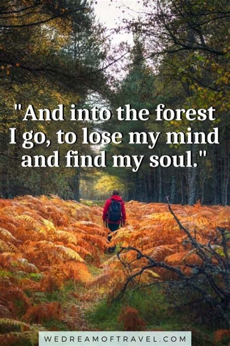 🥾 129 Inspirational Quotes About Hiking For Adventurers ⋆ We Dream Of