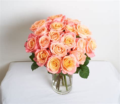 Maybe you would like to learn more about one of these? Best Florists & Flower Delivery in Cornelius, NC - 2020