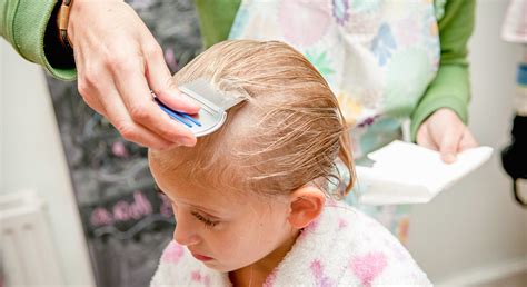 the best way to navigate the concept of lice treatments one care medical center lead a