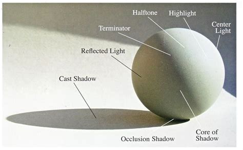 Importance Of Light Light And Shadow Shadow