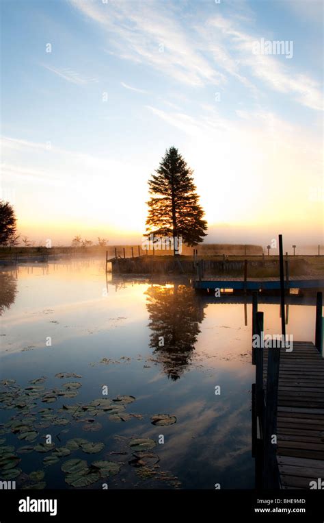 Sunrise Through Lone Tree On Waterfront Dock Ramp With Fog And