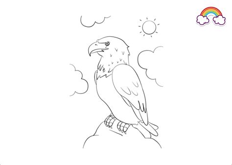 Detail Gambar Sketsa Burung Elang Koleksi Nomer 49