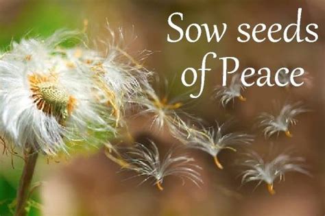 Sow Seeds Of Peace Life Quotes To Live By Fruit Of The Spirit Peace