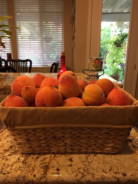 2015 Harvest 2nd Basket Of Delicious Peaches Peaches Picnic Basket
