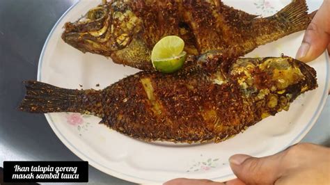 Ikan disiang dan dicuci, sapukan kan dgn gaaram dan sikit tepung jagung. Cara masak ikan talapia goreng masak sambal taucu - YouTube