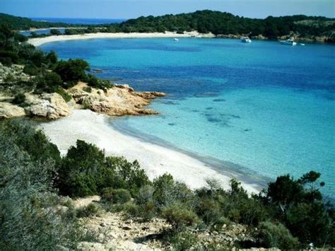If it weren't for people taking photos in line, they wouldn't pay too much attention. Corsica Tourism: 379 Things to Do in Corsica, France ...