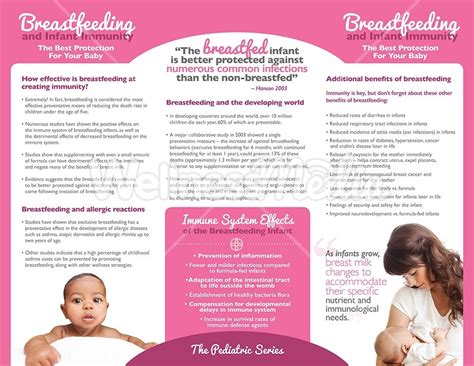Breastfeeding And Infant Immunity Brochure
