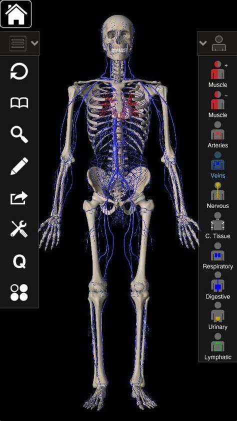 Download for free on your android or ios device. 12 Best Anatomy apps for Android & IOS | Free apps for ...
