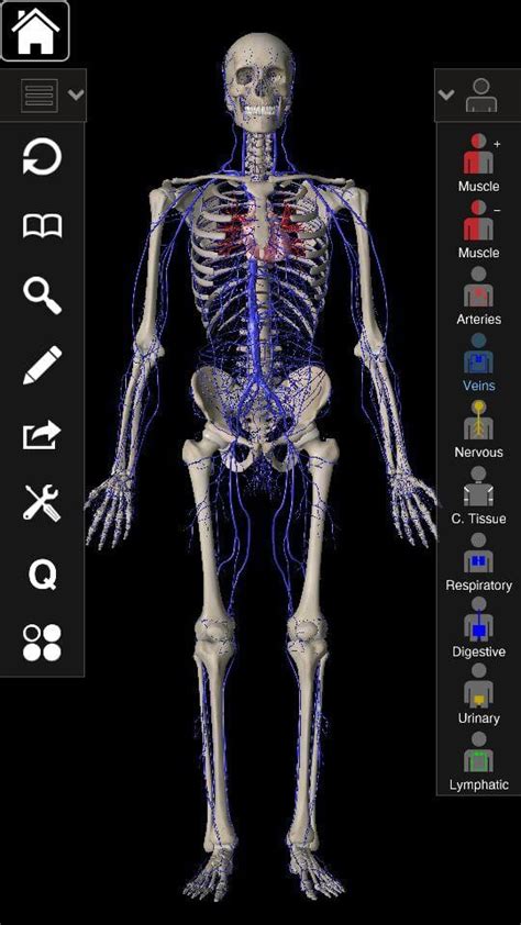 The best part about this anatomy apps besides that you can study every nook and corner of the body is that when you tap on a particular organ, bone or muscle, the application reads it aloud letting you. 12 Best Anatomy apps for Android & IOS | Free apps for ...