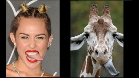 Funny Look Alikes Of People And Celebrities 2016 Youtube