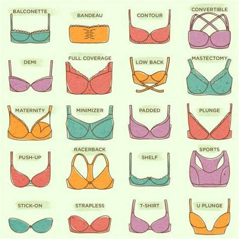 different types of bras and names slide share