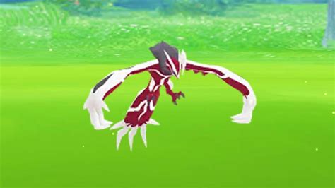 Pokemon Can You Get A Beautiful Yveltal Game News 24