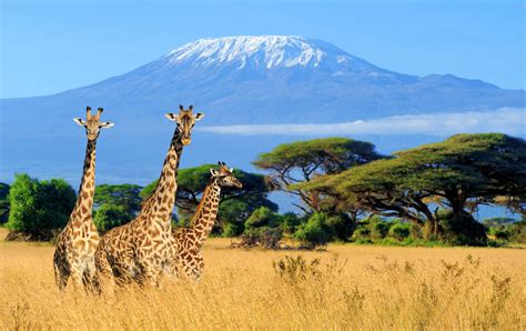 The Chagga Of Kilimanjaro Mount Kilimanjaro Tanzania