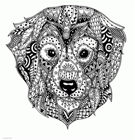 Detailed Dog Coloring Pages For Adults The Designs Are Beautiful And