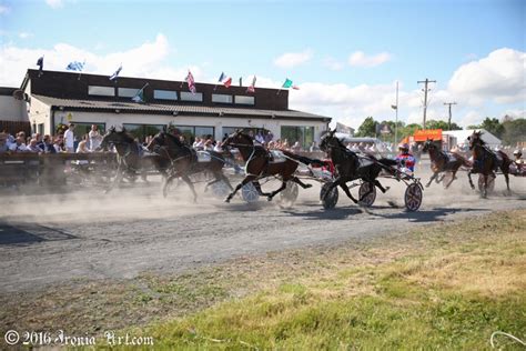 Race Cards 30th Of July The Irish Harness Racing Association