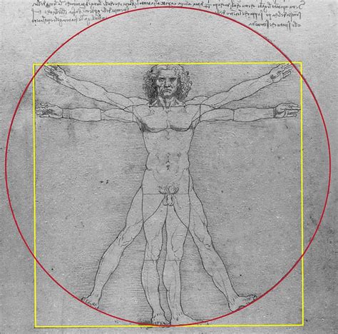 L'Uomo vitruviano di Leonardo da Vinci - Arte Svelata