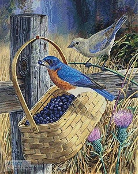 Making a cross stitch pattern from a photo is easy and free! Blue Bandit Cross Stitch Pattern birds