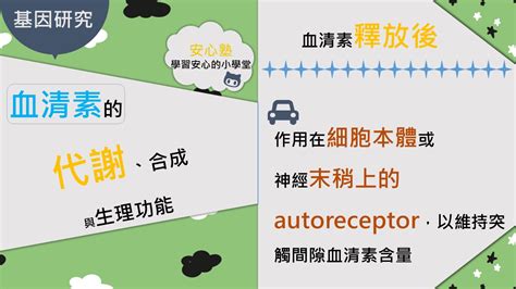 Include (or exclude) self posts. 認識血清素
