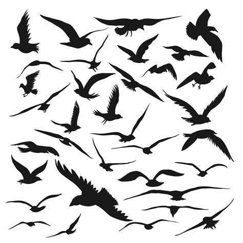 Bird Silhouette Drawing Vector Graphics Flight Png Download 2500
