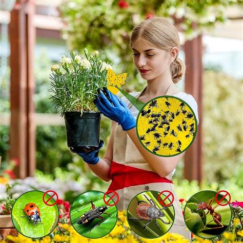 Plant Yellow Sticker 48 Pieces Insect Traps Sticker Traps Yellow Fly