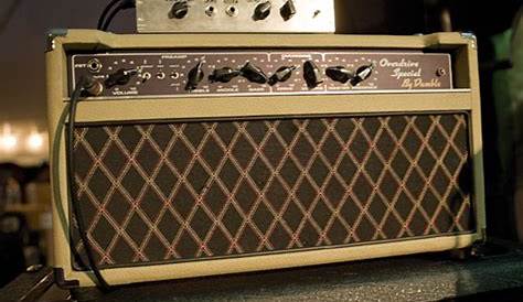 The 10 best amps for blues guitar | Dumble Overdrive Special | Guitar