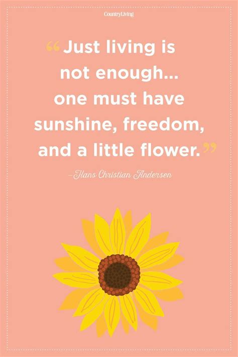 Maybe you would like to learn more about one of these? 30 Flower Quotes to Inspire New Beginnings - Diy Flowers ...