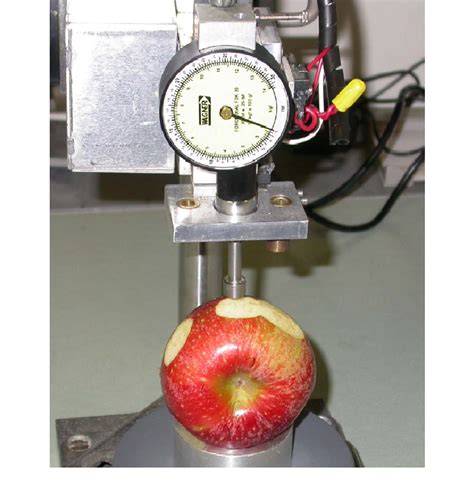Penetrometer measurement for firmness on a Pink Lady apple ...