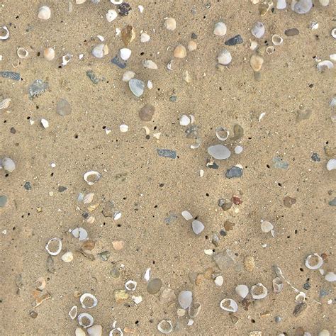 Seamless Beach Sand And Shells Texture Bump Map Texturise Free