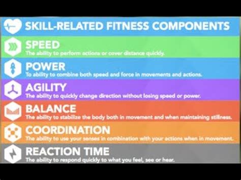 • careers in health and fitness. Skills-Related Components of Fitness - YouTube