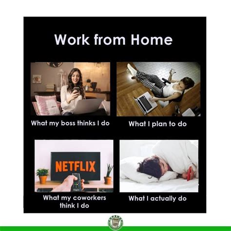 15 Best Work From Home Memes And Jokes To Share Amidst Corona Virus Lockdown