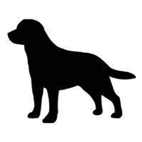 Black Lab Car Decal Labrador Labrador Decal Labrador Etsy Dog