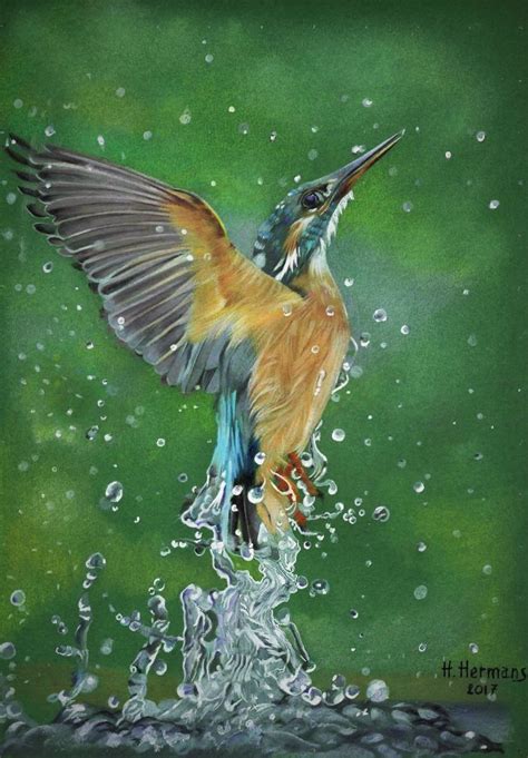 Create digital artwork to share online and export to popular image formats jpeg, png, svg, and pdf. Kingfisher Pencil drawing by HENDRIK HERMANS | Artfinder